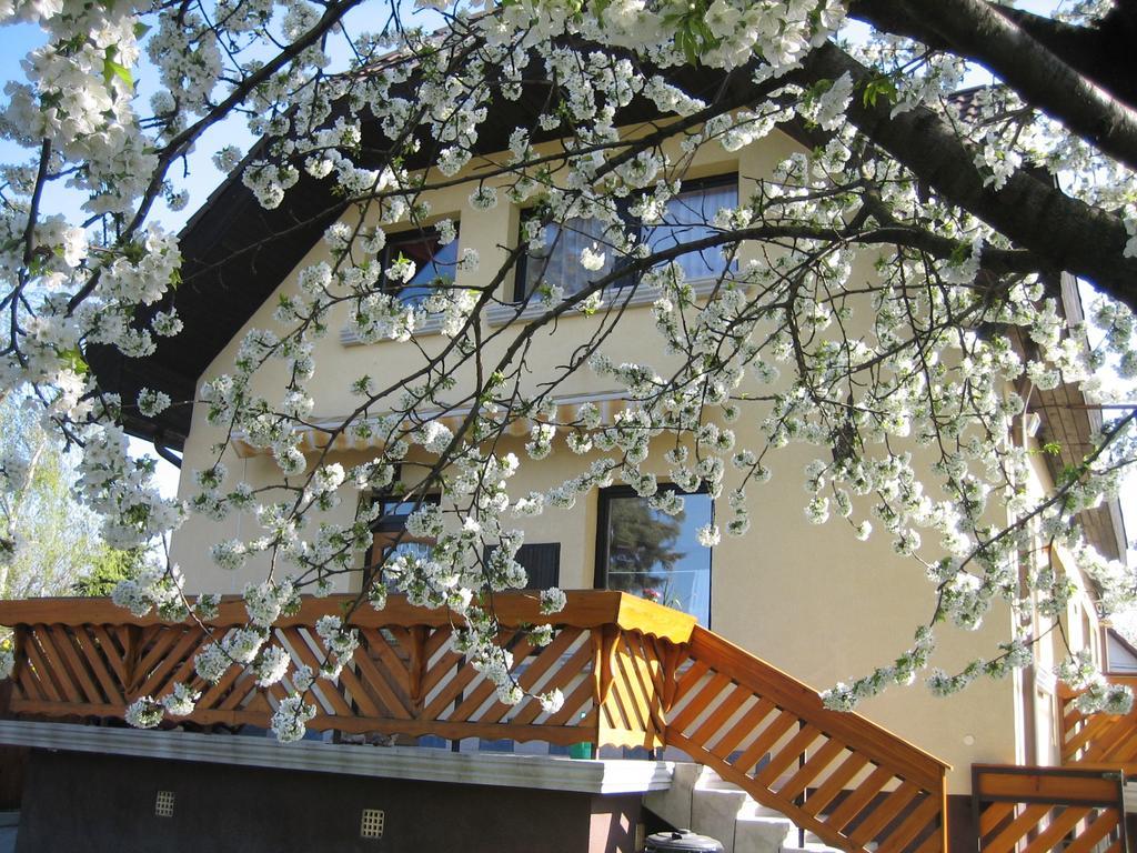 St. Michael Apartman Budapest Exteriör bild